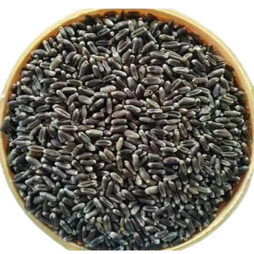 Black Wheat Seed