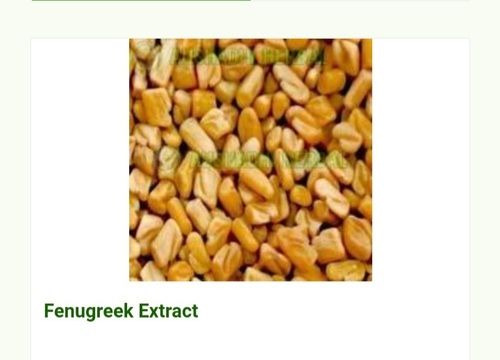 Hyginically Processed Fresh and Natural Herbal A Grade Fenugreek Extract