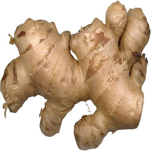 100% Pure and Natural Hygienically Packed A Grade Fresh Ginger - Adrak