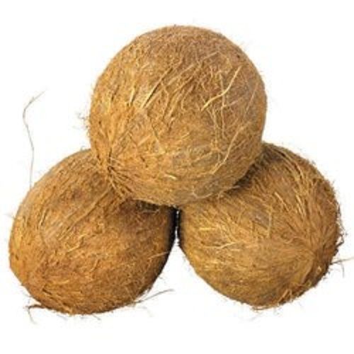 भूरा रंग 100 प्रतिशत प्राकृतिक भूसी वाला नारियल स्वाद में मीठा होता है