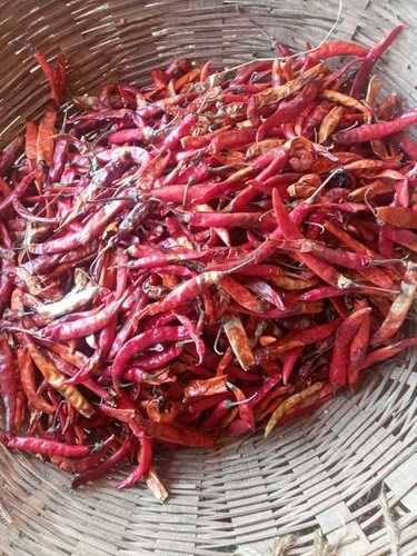 Rich In Taste Dried Red Chilli For Spices