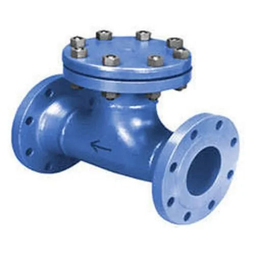 As Per Photo 50 Mm Valve Size Flange End Paint Coated T-Strainer