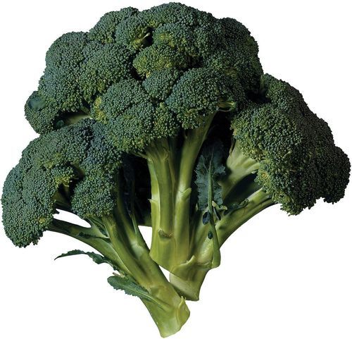 Irregular 100 Percent Natural And Fresh And Nutritious Green Broccoli