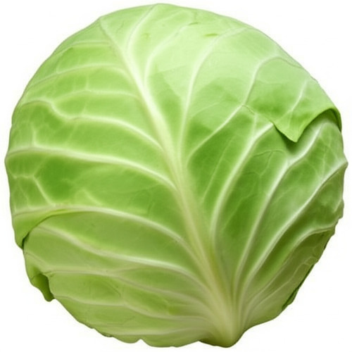 Fresh New Green Cabbage Vegetable - Moisture 78%, Round Shape, 1 Month Shelf Life | Fried Processing Form, Ideal for Noodles and Momos