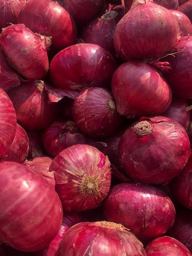 Pure And Natural Red Onion For Cooking, No Artificial Flavour, Natural Taste