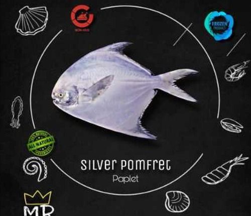 Wholesale Price Frozen Silver Pomfret Fish For Restaurant & Home