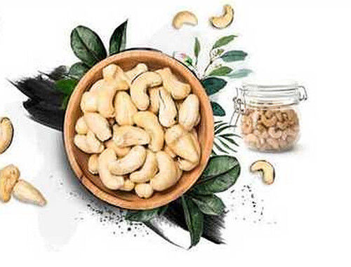 Rich In Protein Carbohydrates Cashew Nut