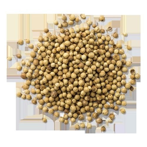 Light Brown Organic Machine Cleaned Whole 8% To 13% Moisture Dried Coriander Seed (Dhaniya)