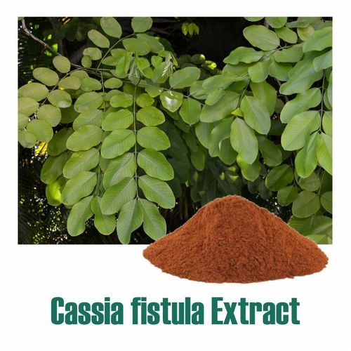 Cassia Fistula Extract Dry Powder