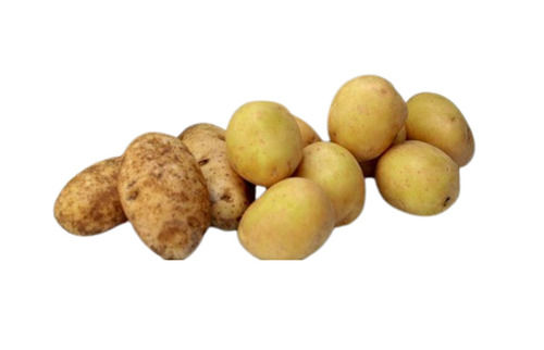 A Grade 100 Percent Purity Indian Origin Commonly Cultivated Fresh Potatoes