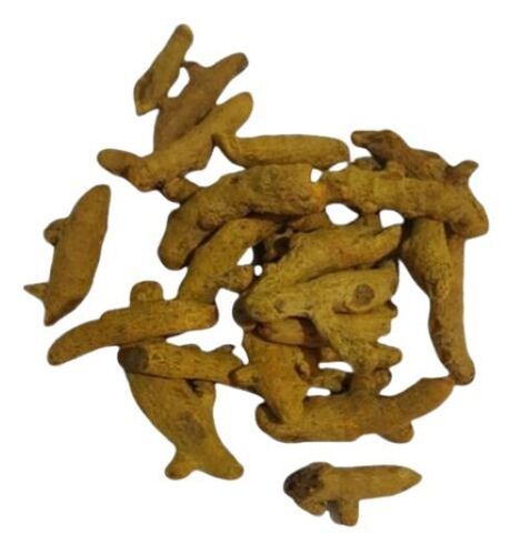 Dried Turmeric Sticks