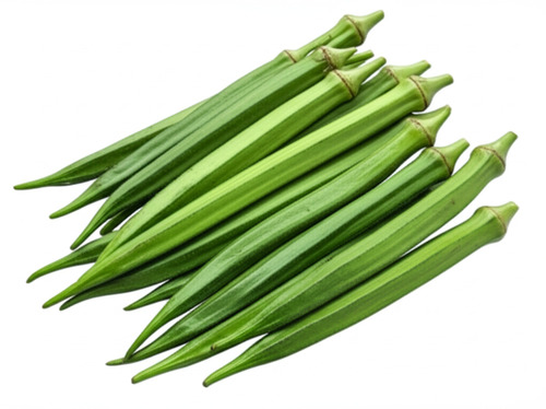 No Artificial Color Natural Healthy Fine Taste Green Fresh Lady Finger