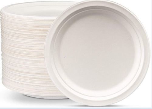 White 100% Natural Compostable Eco Friendly Safe And Hygienic Disposable Round Plates