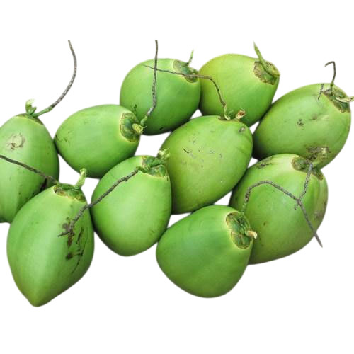 A Grade Fresh And Organic Whole Green Coconut For Drinking - Size: 1.5 kg to 3.8 kg Color: Green Shape: Round Variety: Young Coconut | Uses: For Drinking Good In Taste Non Pesticide