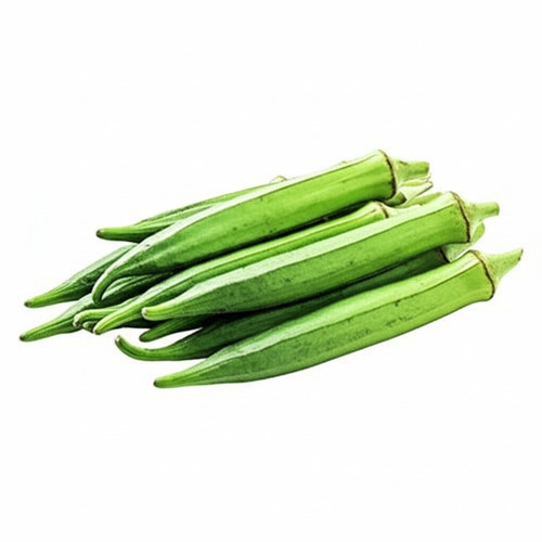 No Artificial Color Natural Healthy Fine Taste Green Fresh Lady Finger