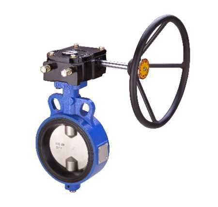 Cast Iron Rust Proof Ci Body Cf8 Disc Butterfly Valve, 50 To 200 Mm Size