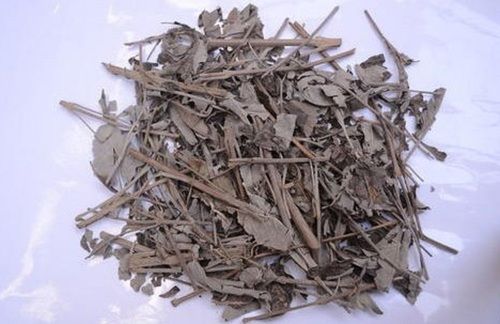 Organic Dried Nirgundi (Vitex Negundo) Leaf For Ayurvedic Medicinal Use