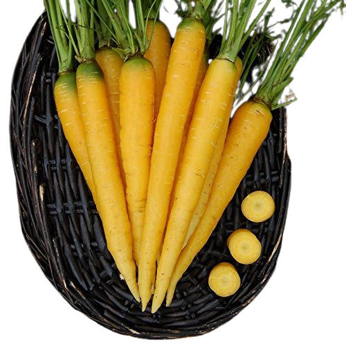 Airex Yellow Carrot Seeds Admixture (%): 1