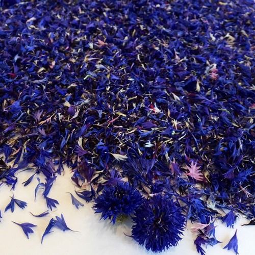 100 Percent Natural Pure Dried Blue Cornflower