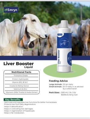 Liver Booster Tonic (500Ml 1Liter 5 Liter) Ingredients: Plant Extract