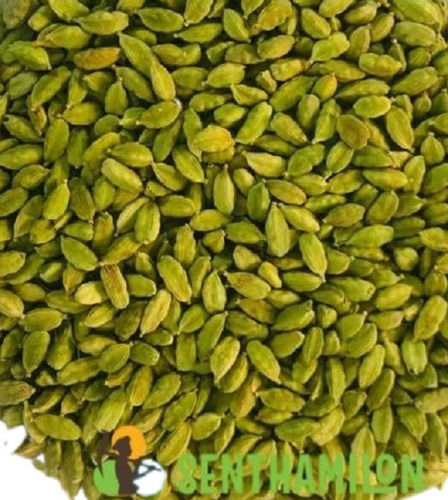 Green Cardamom - 8mm