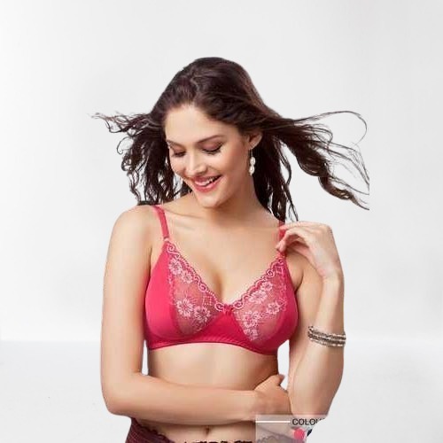 Cotton Full Coverage Non Wired Stretchable Net Pink Ladies Bra at Best  Price in Mumbai