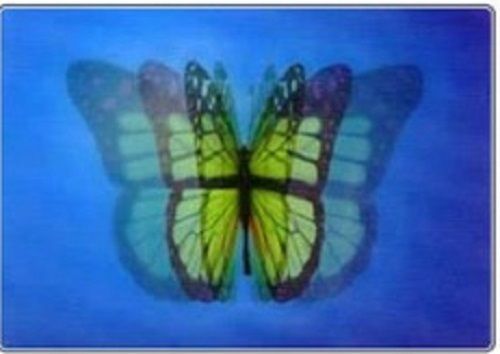 Butterfly 3d Sticker Used For Decoration Of Room Wall Kitchen And Office