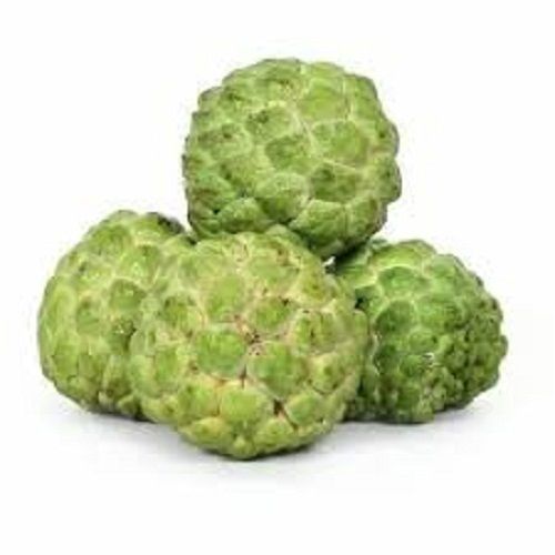 Nutrition Enriched Sweet And Organic Fryst Frozen Custard Apple