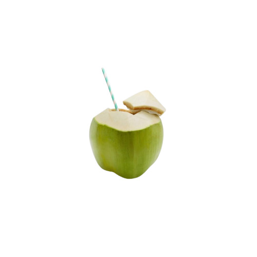 Delicious Taste Natural Benefits And Nutrients A Grade Fresh Healthy Tender Coconut
