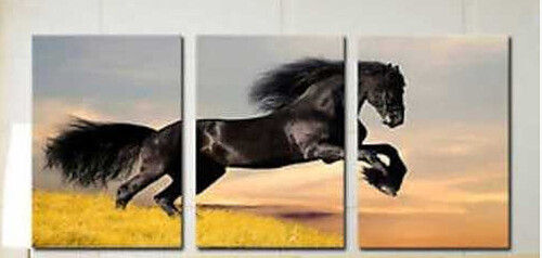 Running Horse Canvas Wall Painting