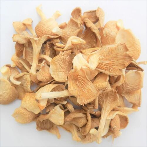 Nutritional Quality Of Dry And Rehydration Oyster Mushroom