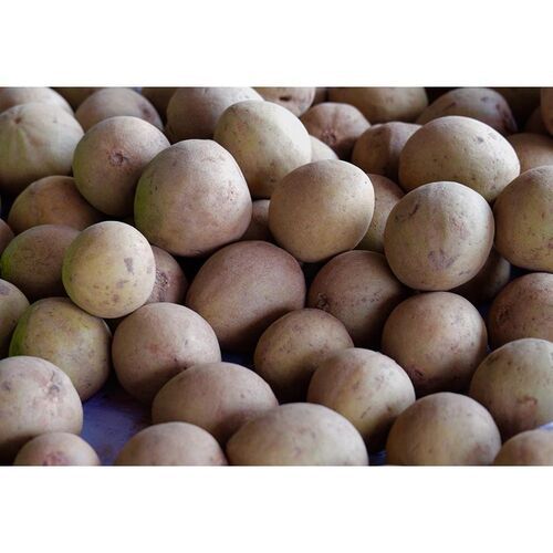 Brown High In Vitamin A And Iron Fresh Chikoo