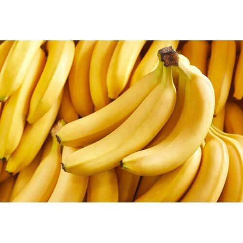 Tasty Farm Fresh Commonly Cultivated Indian Originated Sweet Yellow Banana
