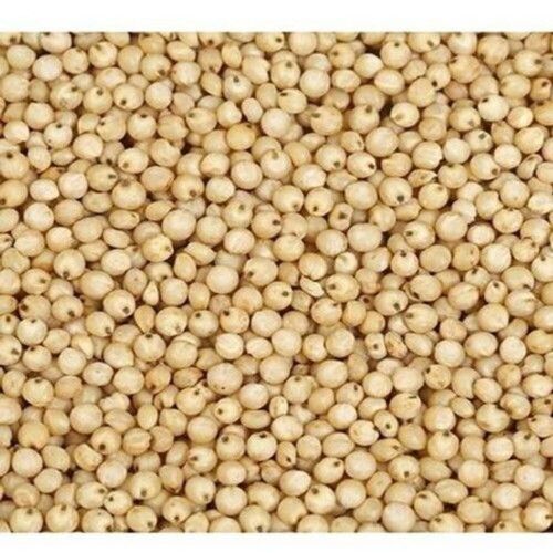 Protein Fibre Round And Smooth Rich Quality Yellowish Brown Gluten-Free Sorghum
