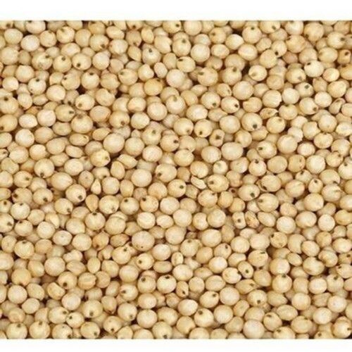 Green Protein Fibre Round And Smooth Rich Quality Yellowish Brown Gluten-Free Sorghum