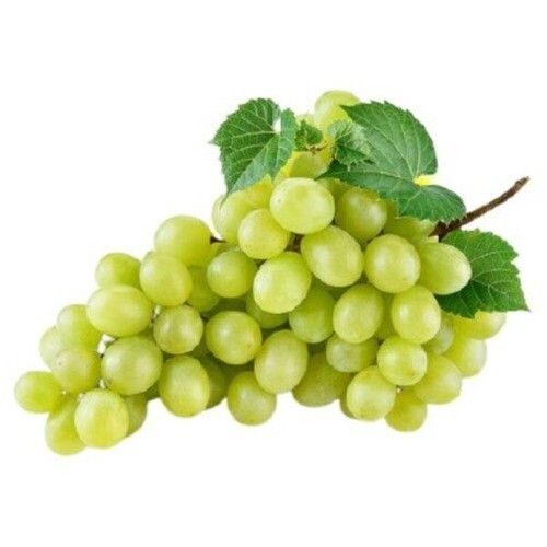 Fresh Delicious Tasty Sweet Juicy Flavour Nutrients Green Grapes