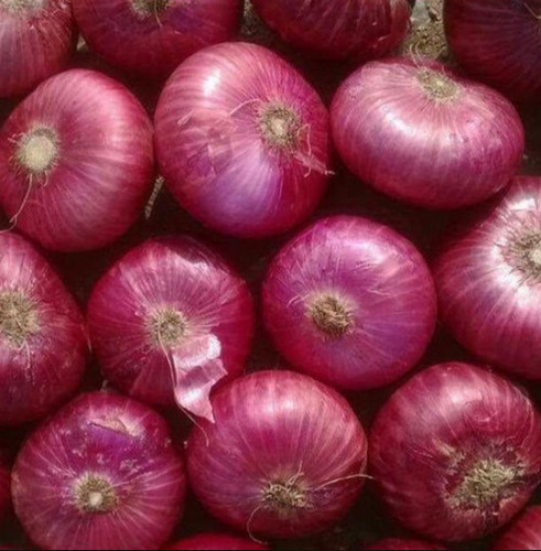 ए ग्रेड राउंड सामान्य रूप से खेती की जाने वाली कच्ची और साबुत ताजा प्याज की नमी (%): 86%