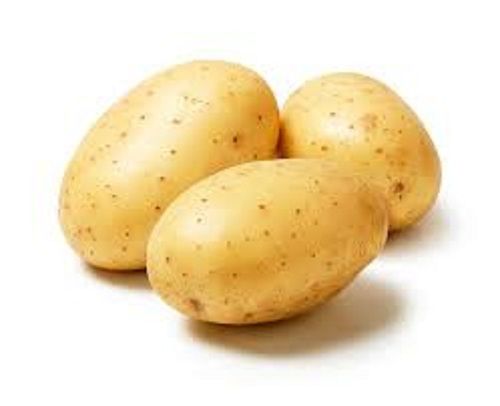  Nutritious Healthy And Fresh Raw Round Potatoes For Multipurpose Uses