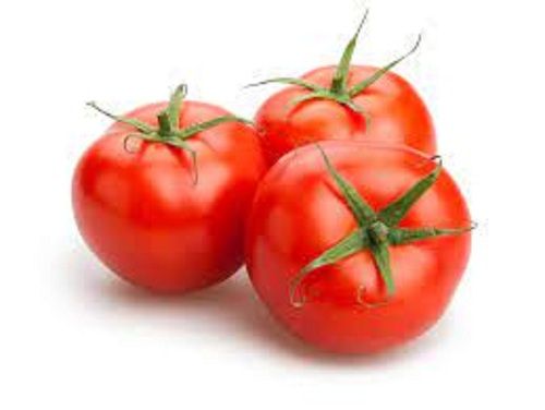 Raw And Fresh Round Medium Size Tomatoes For Multipurpose Uses