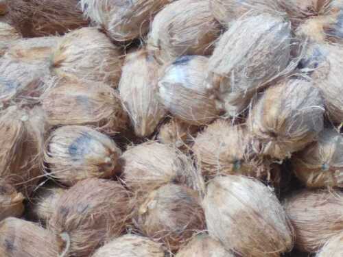  पानी से भरा 100% प्राकृतिक ताजा भूरा नारियल 