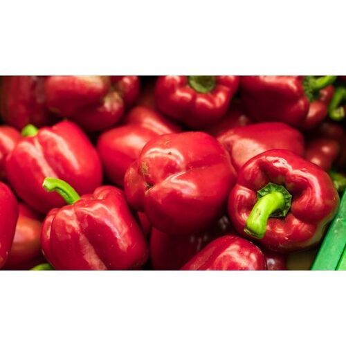 Fresh And Healthy Naturally Grown Irregular Shaped Raw Red Capsicum, 1 Kg