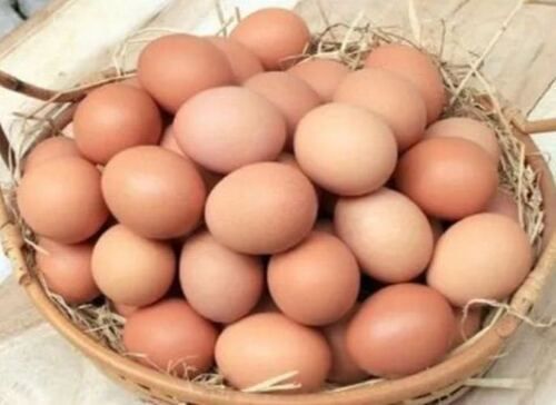 Poultry Brown Eggs