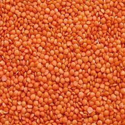 Common Red Lentils High Protein Fiber Organic Masoor Dal