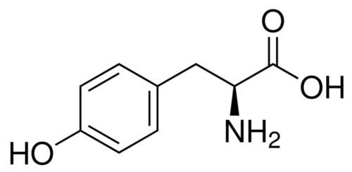 Gluten Free And Non-gmo L-tyrosine, 500mg