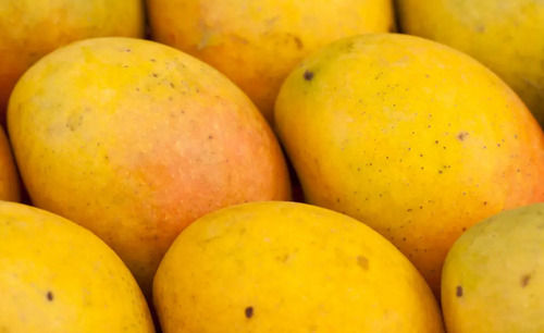 A Grade Sweet And Delicious Commonly Cultivated Whole Fresh Mango