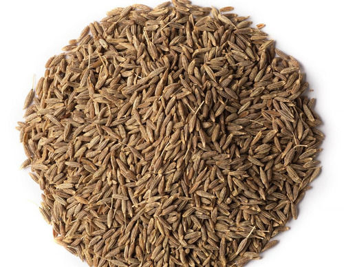 500 Grams Organic Cultivated Pure And Natural A Grade Dried Cumin Seeds