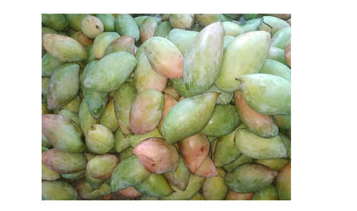 Oval 1 Kilogram, Common Cultivated Delicious Sweet Green Mango