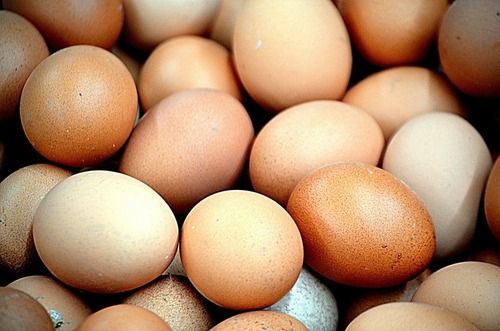4 Inch Size 20g Weight Desi Brown Chicken Eggs 