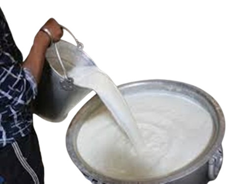 Fresh Cow Milk