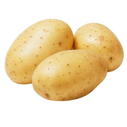 Wholesale Price 100% Original And Pure Pahadi Potato With Rich Source Of Carbohydrate